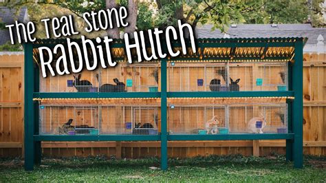 Rabbit Hutch Remodelbuild With Kw Cages Silver Fox And Creme Dargent