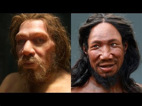 The Differences Between Neanderthals And Humans Youtube