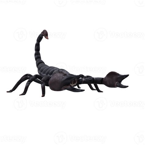 3d Scorpion Isolated 18875870 Png