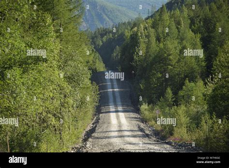 Here The Kolyma Highway Goes Straightful Through The Taiga After The