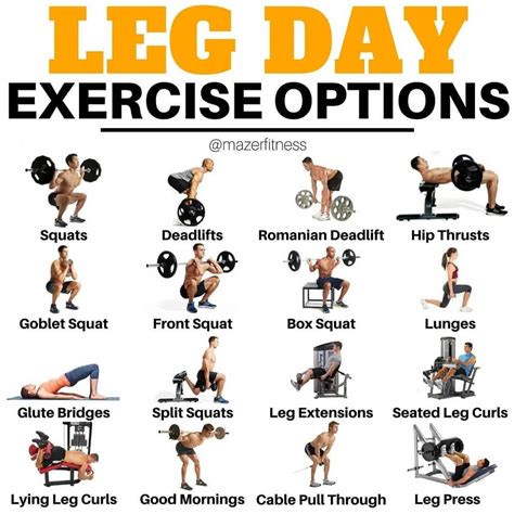 Pin By Nootty On Workout Leg Workouts For Men Leg And Glute Workout
