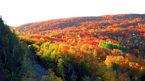 Vermont Fall Foliage Wallpapers Top Free Vermont Fall