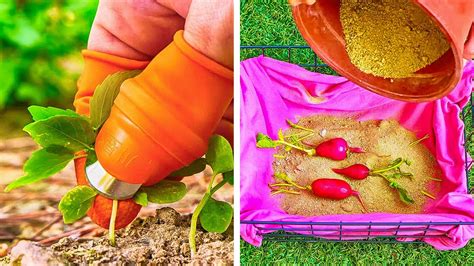 Your Gardening Never Was So Easy 30 Clever Ideas From 5 Minute Crafts