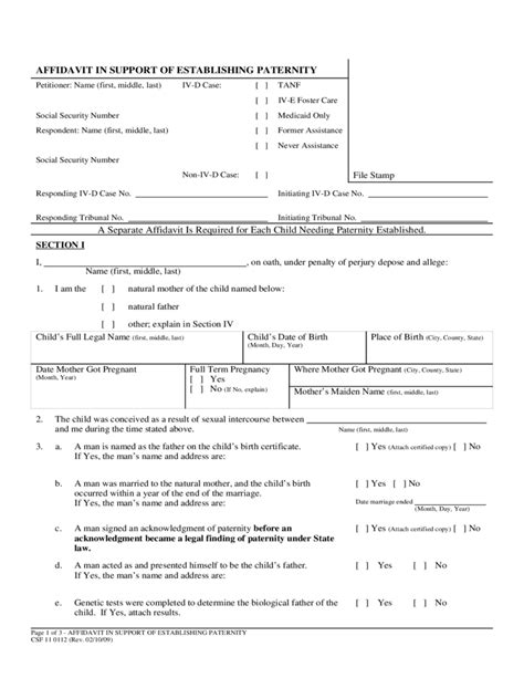 Paternity Affidavit Form 10 Free Templates In PDF Word Excel Download