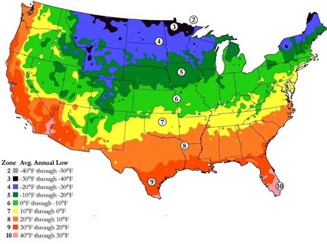 Here Is The Best Time To Plant Kale In Hardiness Zone 9 2023 The