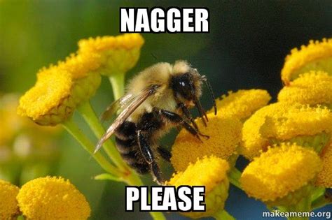 Nagger Please Good Guy Bee Make A Meme