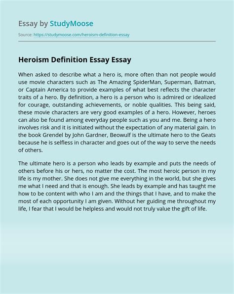 essay examples: hero definition essay