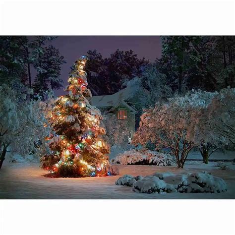 Top 91 Wallpaper Outdoor Christmas Background Images Stunning 102023