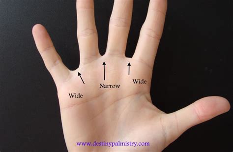 Spaces Between The Fingers In Palmistry Destiny Palmistry Palmistry