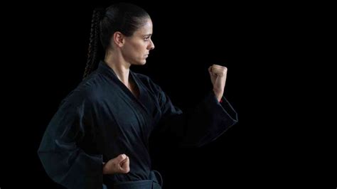 Shito Ryu Karate All You Need To Know The Karate Blog