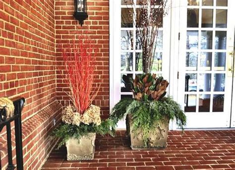 Liven Up Your Winter Porch With 8 Cold Loving Plants Winter Container