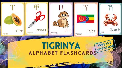 Tigrinya Alphabet Flashcard With Picture Learning Tigrinya Tigrinya