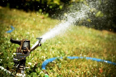 Maybe you would like to learn more about one of these? DYI Spotlight: How to Winterize Your Sprinkler System - Louie's Ace Hardware