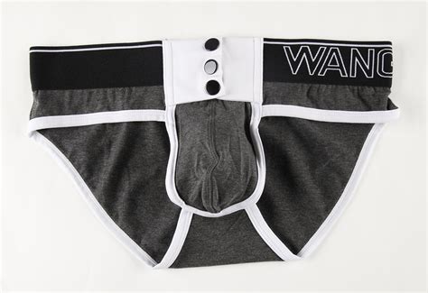 Wangjiang Sheer Panties Sexy Underwear Big Men Sexy Gay Men Briefs