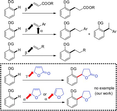 Rhodium Catalyzed Regioselective Addition Of The Ortho CH Bond In