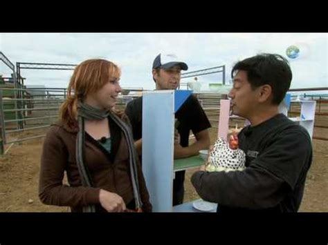 Bull in a china cabinet. MythBusters - Bull in a China Shop | Top 25 Moments - YouTube