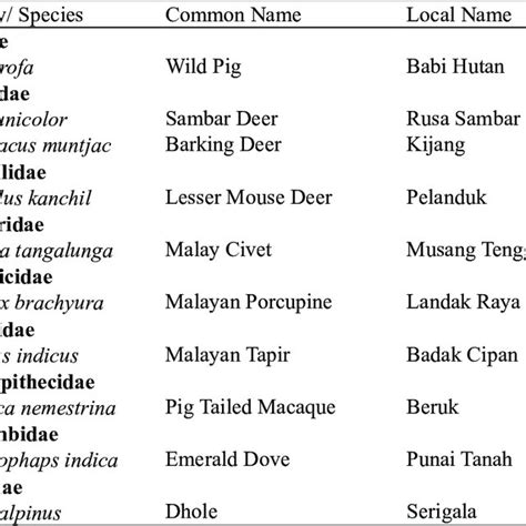 Bahasa inggeris [upholding the malay language. (PDF) OBSERVATION OF DHOLE (Cuon alpinus) AT SUNGKAI ...