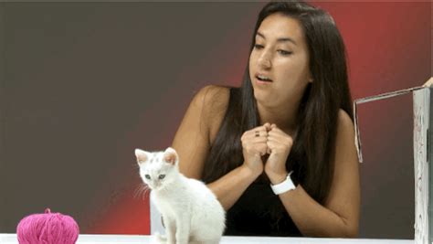 people who hate cats meet kittens for the first time