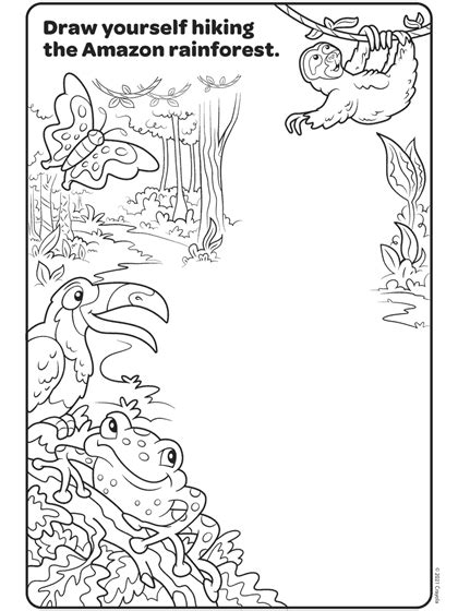 Tropical Rainforest Animals Coloring Pages