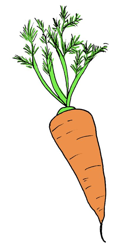 How To Draw A Carrot In 4 Easy Steps Bujo Babe