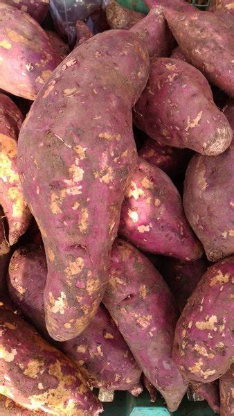 Jual Ubi Merah Ubi Jalar Sweet Potato Di Lapak Lavatera Store Bukalapak