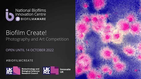 Nbic Launch Biofilm Create Photography And Art Competition Nbic