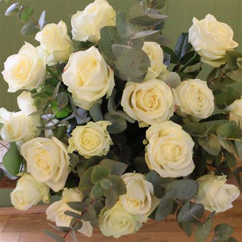 Avalanche Rose 3 Avalanche Roses Have A Sturdy Stem And Are Crowned