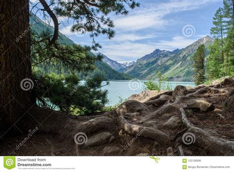 A View Of A Mountain Lake On A Summer Day In The Foreground Are The