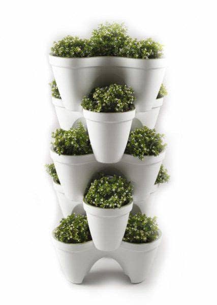 Son cultivadas en huertos de diferente extensión. Macetas apilables, ideales para las hierbas de cocina ...