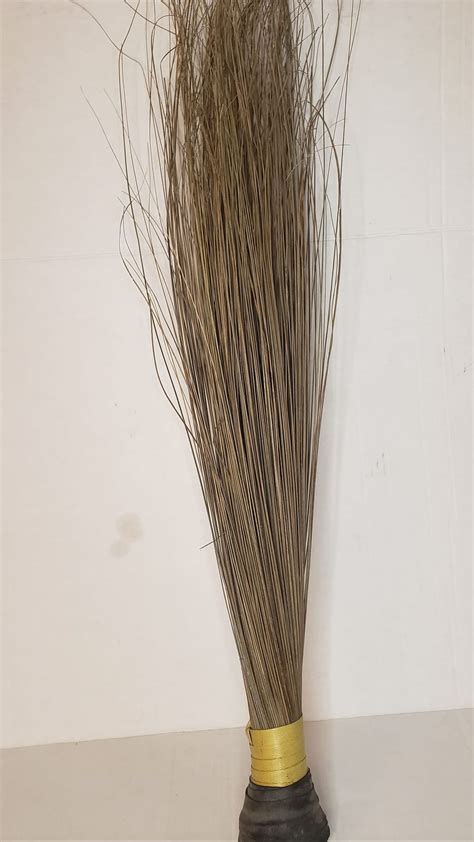 African Broom Long Primeoja