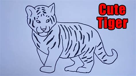 How To Draw A Tiger Cute Drawing Easy Sketch Step By Step Outline