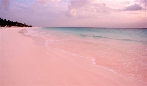 8 Wonderful Pink Sand Beaches Around The World Auctions Luxury Travel