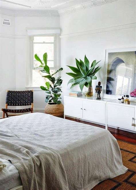 Ist es schädlich im schlafzimmer zimmerpflanzen zu haben? Pin en Ideas for a future Home