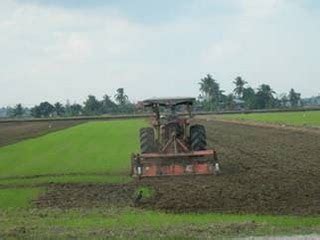 Pengenalan aktiviti pertanian di malaysia menyumbang sebanyak 12% keluaran dalam negara kasar (kdnk) negara. Laman Agro @ Sains Pertanian: Taburan Tanaman Utama di ...