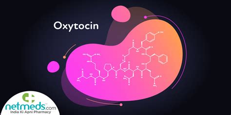 Oxytocin Structure Crucial Functions And Adverse Effects