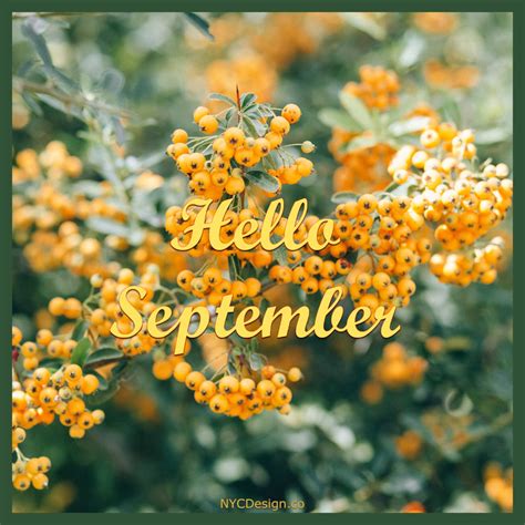 Hello September Images For Instagram And Facebook