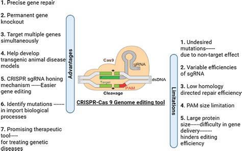 A Brief Account Of Some Major Advantages And Limitations Of CRISPR Cas9