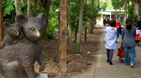 Lone Pine Koala Sanctuary In Brisbane Expedia