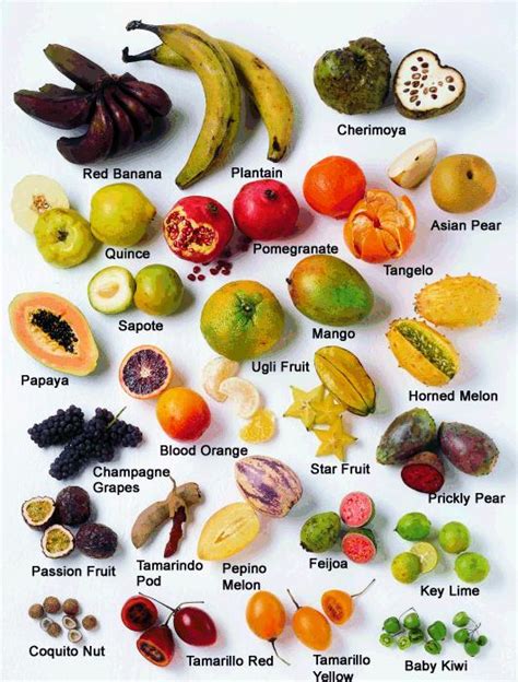 Names And Pictures Of Mexican Fruits Uno