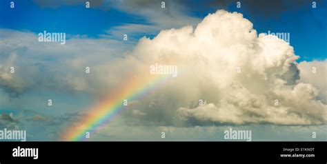 Spectacular Rainbow In Bright Colors Rising Up To A Huge White Cloud