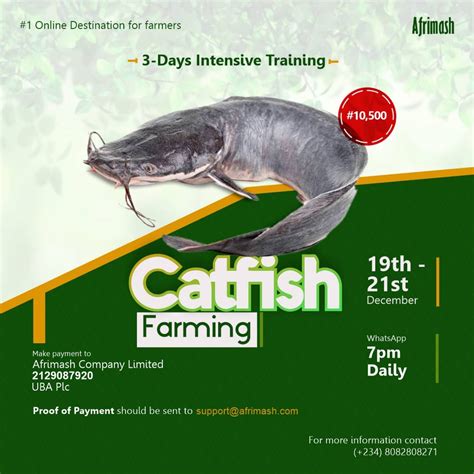 Intensive Training On Catfish Farming 3 Days Webinar