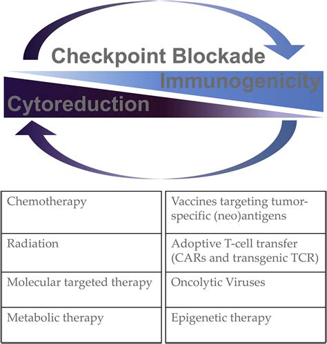 Emerging Concepts For Immune Checkpoint Blockade Based Combination
