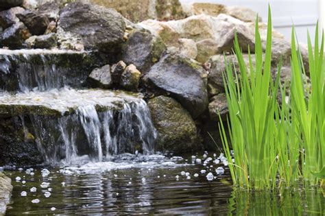 Also, pond grass will often come back unless the. Backyard Pond Waterfalls - How To Build A Pond Waterfall In The Garden