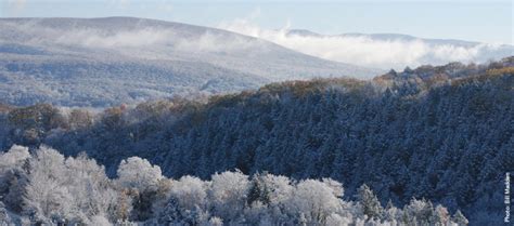 Holidays And Beyond Things To Do In The Berkshires In Winter