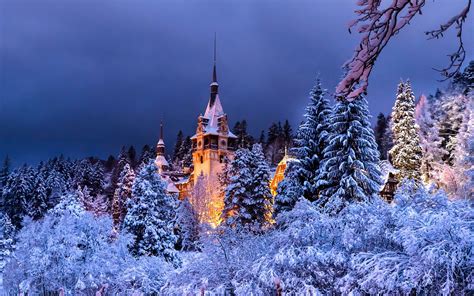 Wallpaper Romania Sinaia Peles Castle Winter Trees Snow Night