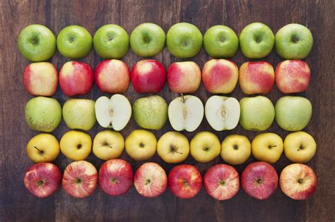 На вкус и цвет выбираем идеальные яблоки для сада Фото Ботаничка