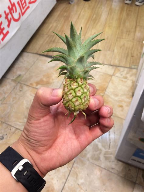 This Tiny Pineapple : mildlyinteresting