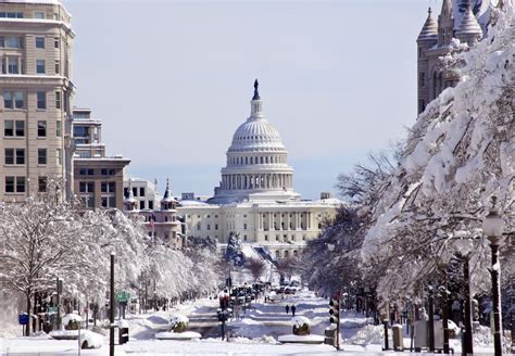 The Best Time To Visit Washington Dc Cuddlynest