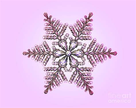 Stellar Dendrite Snowflake Photograph By Kenneth Libbrechtscience