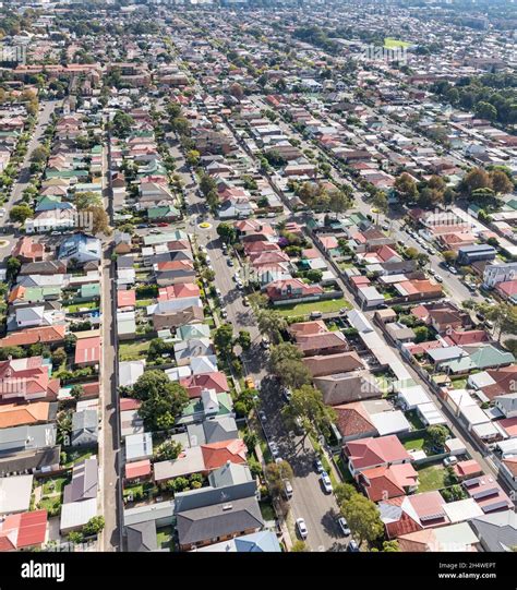 Aerial View Of Residential Area In Sydneys Eastern Suburbs Sydney